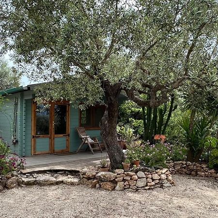 Finca Florecer Tivenys Exterior foto